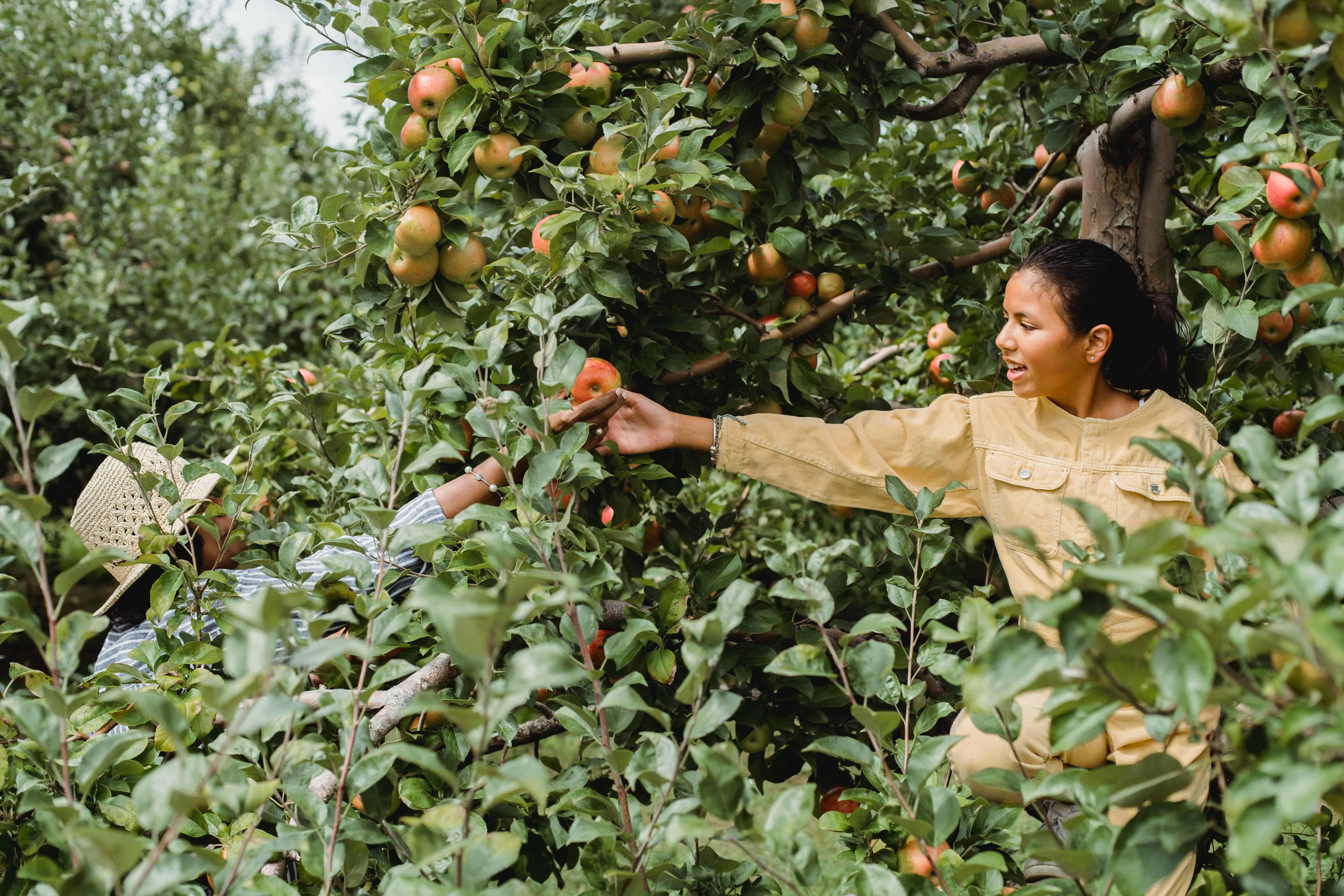 This Leader in Organic Agriculture Growth